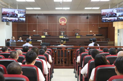 以案释法促提升！丰顺县开展2025年度领导干部旁听庭审活动