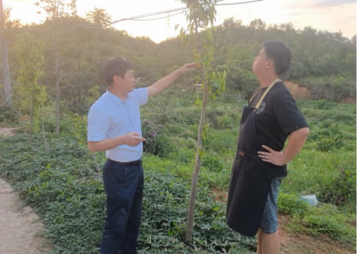 兴宁市新陂镇：专家“送智下乡”，赋能产业发展