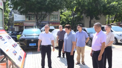 聚焦民生实事与代表建议 丰顺县人大常委会调研组开展专题调研