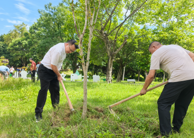植树，也要护树！大埔开展形式多样爱绿植绿护绿活动