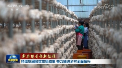 【新思想引领新征程】持续巩固脱贫攻坚成果 奋力推进乡村全面振兴