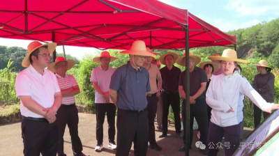 国家发改委到平远县调研以工代赈工作