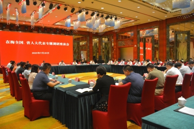 市人大常委会组织在梅全国、省人大代表开展专题调研：聚焦高质量发展 深入调研献良策