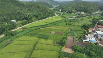 “小田”变“大田”！梅县区水车镇水声村立体生态农业示范基地举行开工仪式