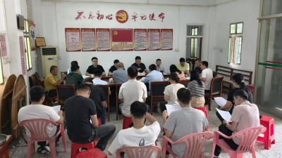 丰顺县埔寨镇：人大代表一线察民情，精准助力“百千万工程”