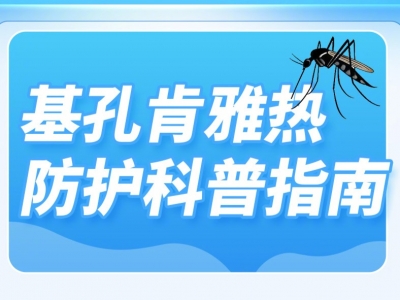 这里有一份基孔肯雅热防护科普指南，请查收