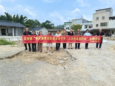 丰顺县龙岗镇：人大代表一线履职 助力"百千万工程"惠民生