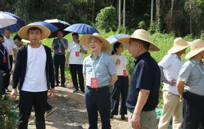 兴宁市政协开展“加强我市生态环境保护与治理”专题调研
