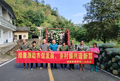 50万斤冬瓜滞销！村民莫愁，我们合力“搭桥”让冬瓜直销出去