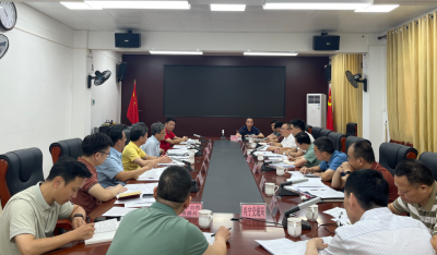 蒋鲲率队到兴宁市黄槐镇调研督导：高标准高质量如期完成各项工作