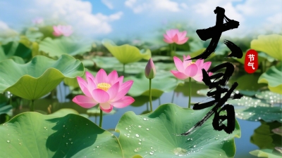 今日21点29分，迎来夏天最后一个节气：大暑！