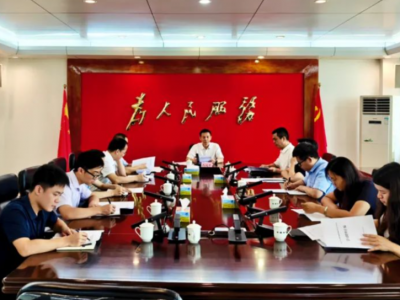 丰顺县召开“百千万工程”决策咨询专班工作会议