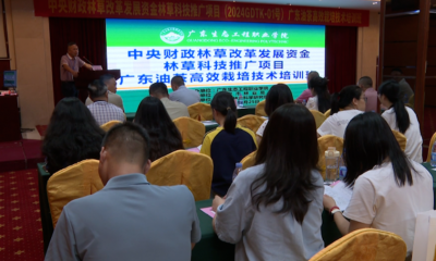 干货满满！广东油茶高效栽培技术培训班在兴宁市开讲