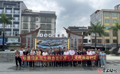 丰顺县大龙华镇：察民情惠民生暖民心，人大代表助力“百千万工程”