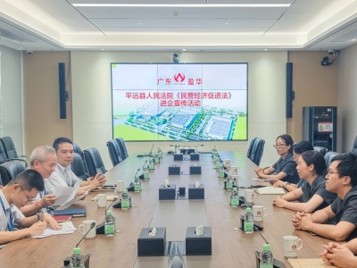 以法护企促发展！平远法院开展民营经济促进法进企宣传活动