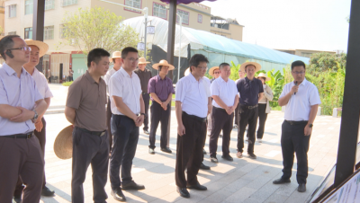 蕉岭县委常委会到新铺镇调研并召开会议：坚定信心 抢抓机遇 创造更多蕉岭特色、新铺经验的典型示范