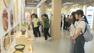 深化产教融合，助力人才培养！嘉应学院政法学院组织开展专业见习活动