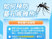 这里有一份基孔肯雅热防护科普指南，请查收