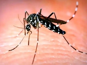 清积水、灭蚊虫！10月1日至8日，兴宁市将开展统一入户行动