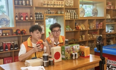 校地联动共绘振兴画卷！多所高校实践队以专业所长赋能大埔西河镇“百千万工程”