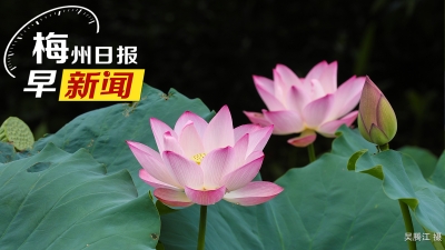 梅州日报早新闻丨注意防御！梅州启动防风Ⅳ级应急响应、防汛应急响应提升为Ⅲ级；全国学生总体近视率近五年连续下降