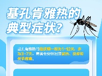 这里有一份基孔肯雅热防护科普指南，请查收