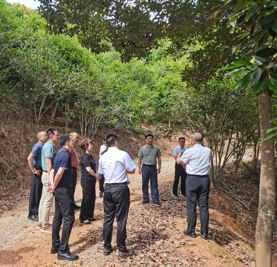 陈志宁到梅县区调研督办重点提案办理落实情况：厚植生态底色 助力高质量发展