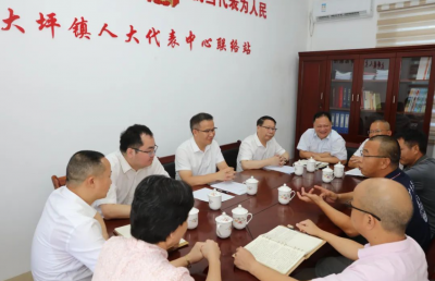 罗达祥率队到大坪镇调研并开展“更好发挥人大代表作用”主题活动：传承基因 担当作为 扎实推动大坪发展有更大变化 更新成效