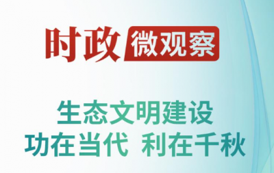 近观“两山”丨理念一变天地宽