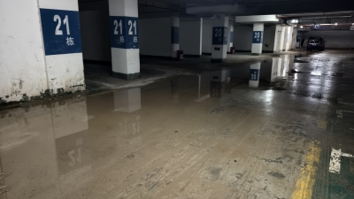 加密清运+持续监督！梅城这个小区的“垃圾问题”，后续来了！