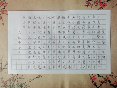 梅县区程江镇中心小学李子萌丨书法