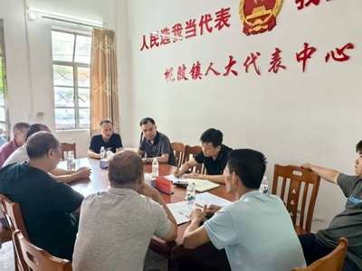 兴宁市坭陂镇人大：“四力”驱动激活力，代表行动助振兴