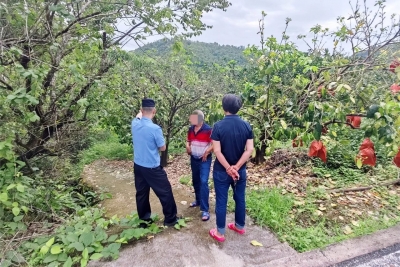 邻里起纠纷，竟喷洒农药导致对方柚树受损！梅县公安联合多方开展行动...