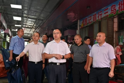 周小勇督导检查基孔肯雅热疫情防控与防汛备汛工作