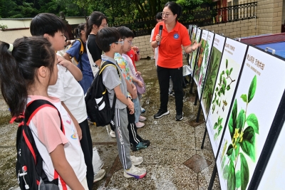 探索南药奥秘 共享生态之美！“赏‘双园’画展·识草木药香”自然教育活动在蕉岭县国有皇佑笔林场举行 