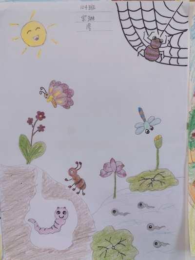 梅江区金山小学谢宗琳丨绘画