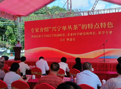 兴宁市径南镇“兴宁单丛茶”品牌推介暨“网络强村”助力农产品出村进城活动成功举办