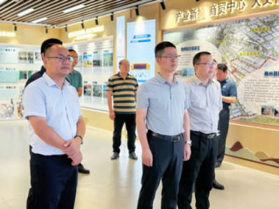 王锋率队到畲江镇调研督导“百千万工程”典型镇建设：加力提速“百千万工程”典型镇建设