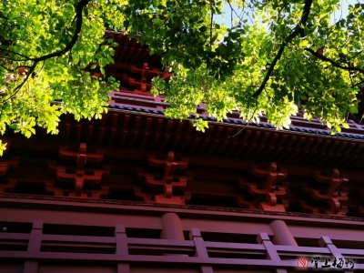 【小小说】连正清 | 一杯凉茶