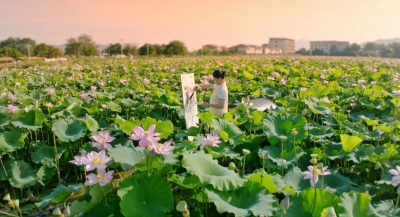 寿乡蕉岭·桂花