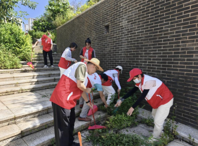 梅县区统计局开展爱国卫生运动攻坚行动