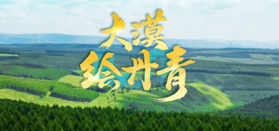 近观“两山”丨大漠绘丹青