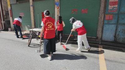 梅县区党员干部集中开展爱国卫生运动