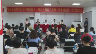 扶大高新区“两新”组织妇联成立 