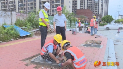 加力提速促发展！五华2025年上半年重点项目建设投资进度率排全市第二