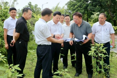 张志锋调研水利重点工程项目建设