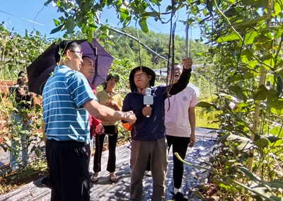 精准破解种植难题！平远中行镇联合科技特派员开展农技培训