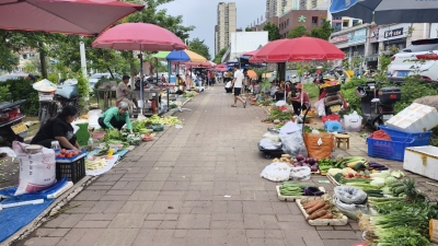 流动摊贩占道经营影响通行，梅城碧桂路周围住户盼整治