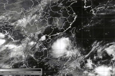今年第13号台风“剑鱼”生成，广东启动防风Ⅳ级应急响应