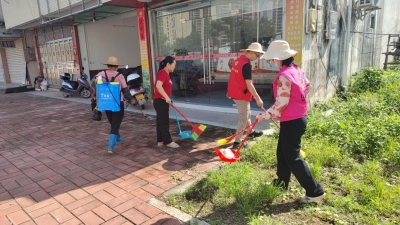 全民动员 防蚊灭蚊！大埔大麻镇扎实开展爱国卫生运动攻坚行动